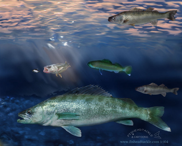 Fish group swimming ocean sunshine free wallpaper for desktop - medium preview image