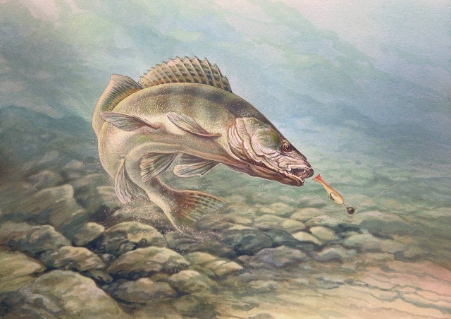 Fish hook fish mouth painting free wallpaper for desktop - medium preview image