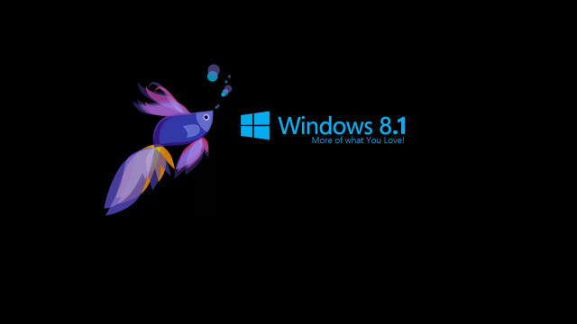 Colorful bird flying windows8 logo #3 free wallpaper for desktop - medium preview image