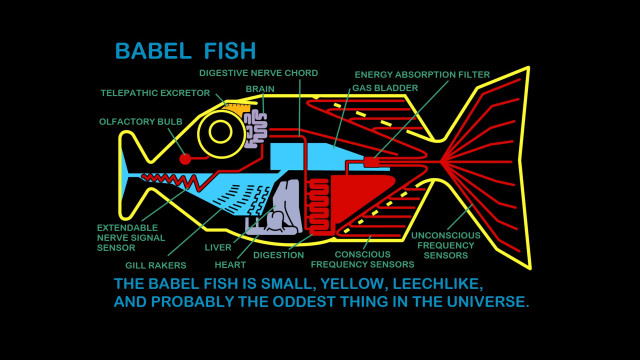 Fish labels description body parts free wallpaper for desktop - medium preview image