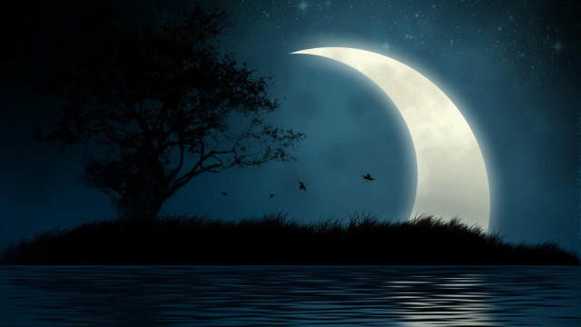 Night moon tree hill water free wallpaper for desktop - medium preview image