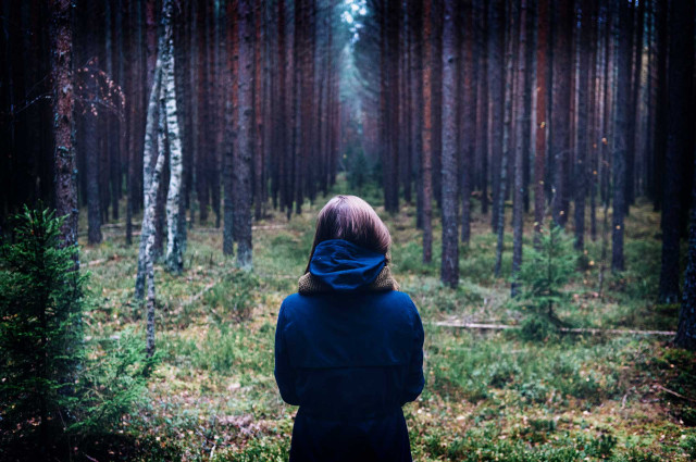 Person forest blue jacket hood free wallpaper for desktop - medium preview image