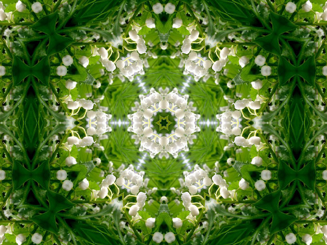 Green white flower mosaic christmas free wallpaper for desktop - medium preview image