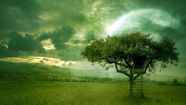 Tree house field ladder cloudy free wallpaper for desktop - medium preview image