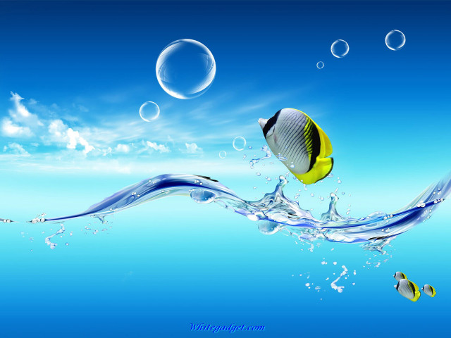 Fish swimming ocean bubbles underwater #5 free wallpaper for desktop - medium preview image