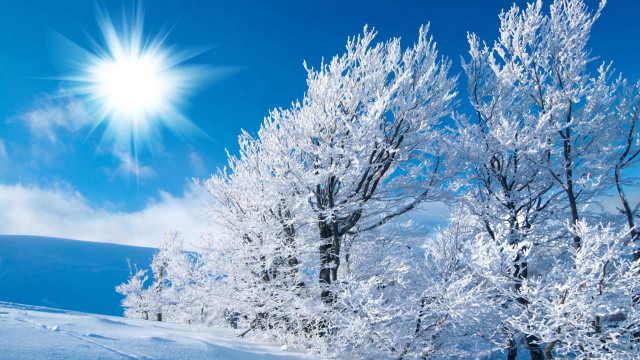 Sunny blue sky snow trees free wallpaper for desktop - medium preview image