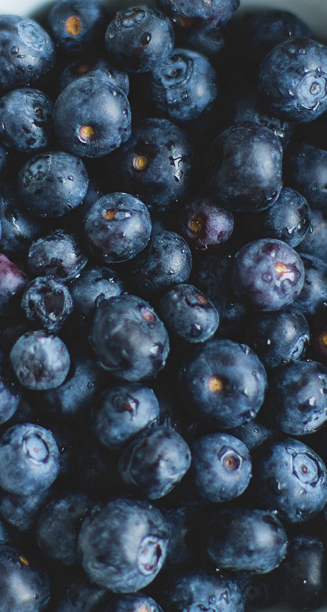 Blueberries water droplets macro photorealism #2 free wallpaper for mobile - medium preview image