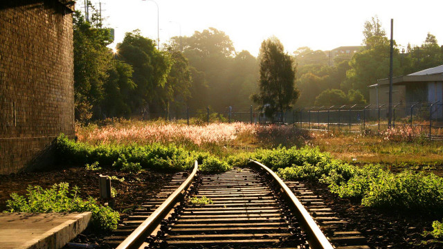 Train track building trees foreground free wallpaper for desktop - medium preview image