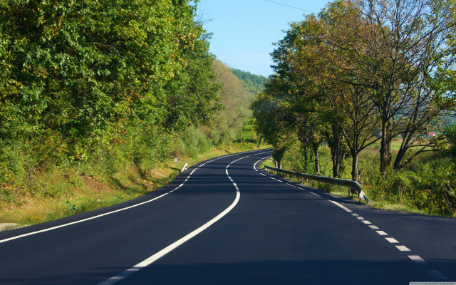 Curved road trees sign middle free wallpaper for desktop - medium preview image