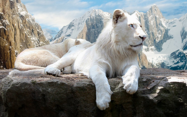 White lion rock mountain range free wallpaper for desktop - medium preview image