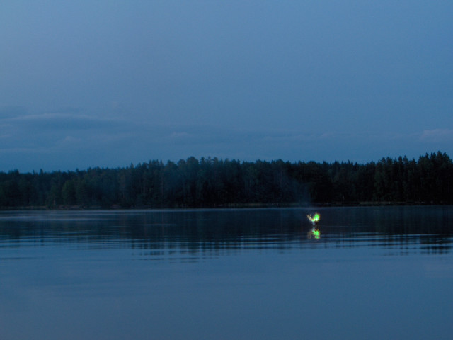 Water forest night person standing free wallpaper for desktop - medium preview image