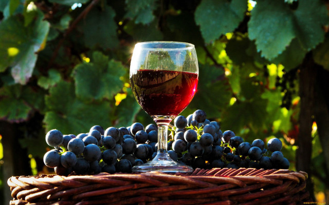 Wine grapes basket vine blurry free wallpaper for desktop - medium preview image