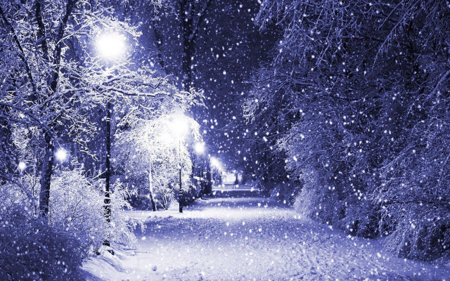 Snowy path night streetlights trees #2 free wallpaper for desktop - medium preview image