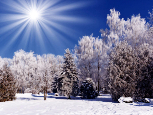 Sunny winter snow trees bright free wallpaper for desktop - medium preview image