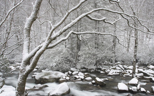Snowy stream forest rocks ice free wallpaper for desktop - medium preview image