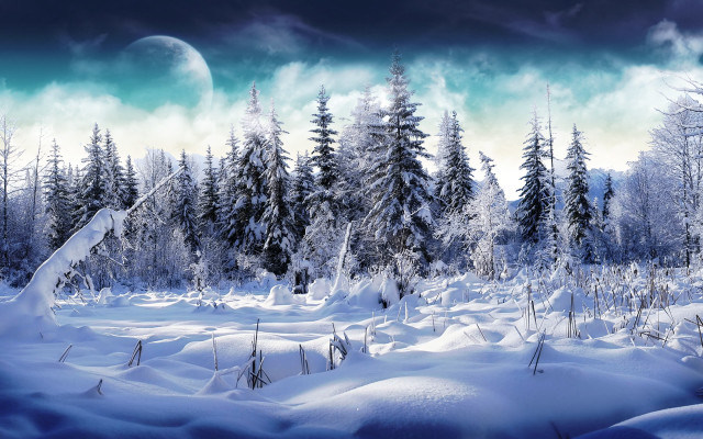 Snowy landscape trees moon sky free wallpaper for desktop - medium preview image