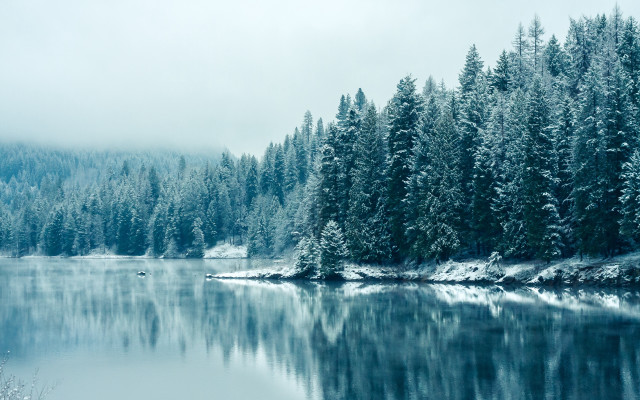 Lake trees snow foggy sky free wallpaper for desktop - medium preview image