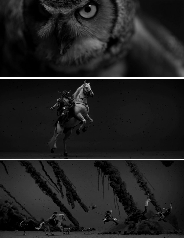 Cat riding horse black white free wallpaper for mobile - medium preview image