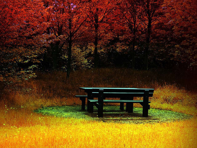 Bench field trees red sky free wallpaper for desktop - medium preview image