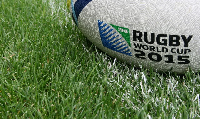 Rugby ball green field world free wallpaper for desktop - medium preview image