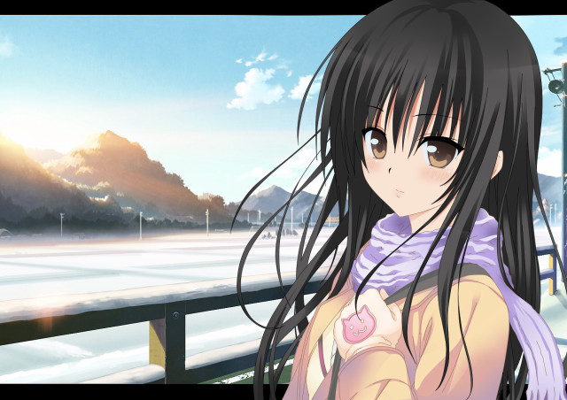 Girl long hair fence snow free wallpaper for desktop - medium preview image