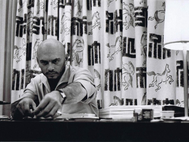 Man desk laptop curtain horse free wallpaper for desktop - medium preview image