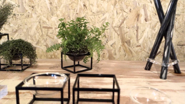 Table plants stone wall indoor free wallpaper for desktop - medium preview image