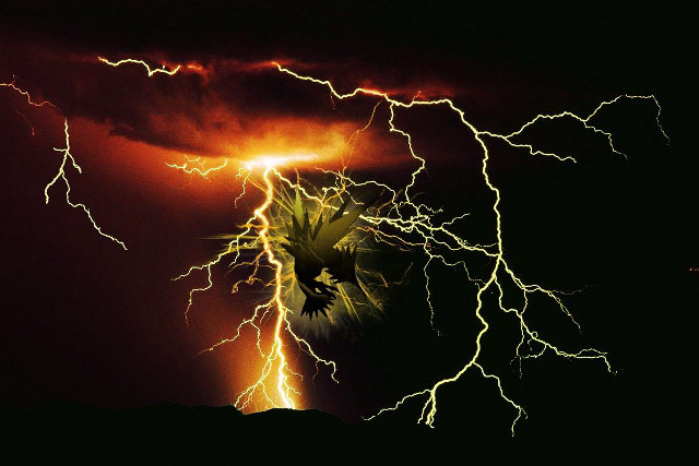 Lightning storm bird dark sky free wallpaper for desktop - medium preview image