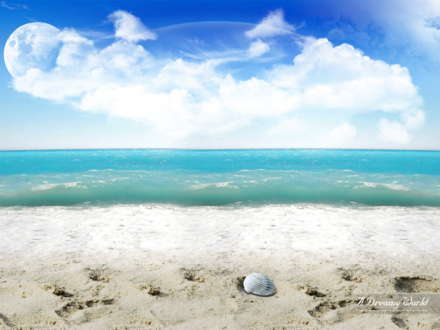 Seashell sandy beach blue sky free wallpaper for desktop - medium preview image