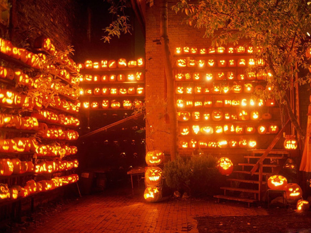 Lit up pumpkins in the free wallpaper for desktop - medium preview image
