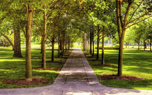 Walkway park trees grass bench #3 free wallpaper for desktop - medium preview image