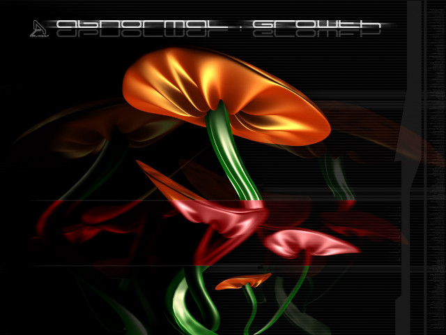 Flower black background red green #2 free wallpaper for desktop - medium preview image