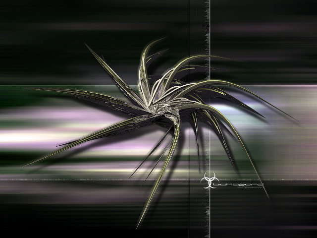 Plant long thin stem blurry #3 free wallpaper for desktop - medium preview image