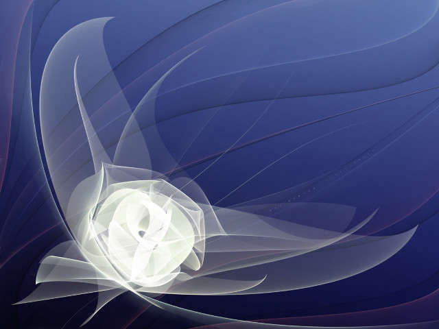 White flower blue background white #3 free wallpaper for desktop - medium preview image