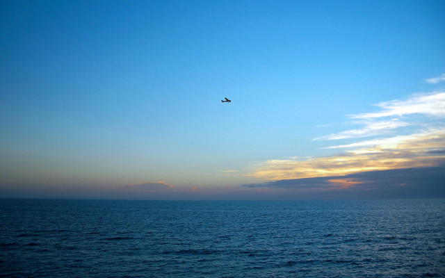 Bird flying ocean sunset plane free wallpaper for desktop - medium preview image