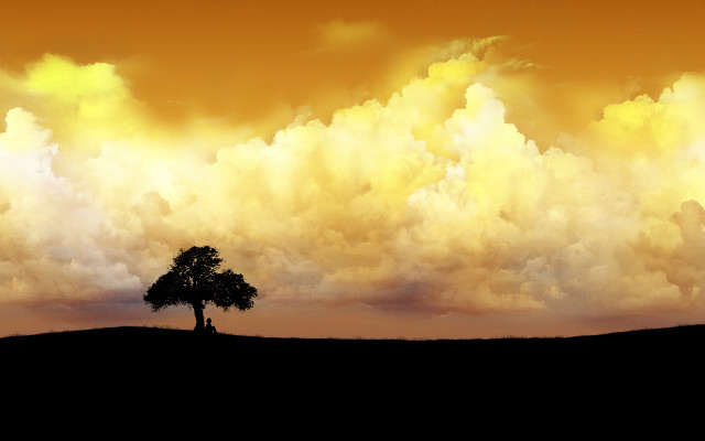 Lone tree field cloudy sky #2 free wallpaper for desktop - medium preview image