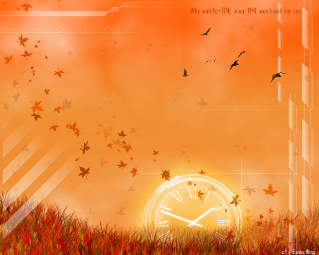 Clock field birds sunset stars #2 free wallpaper for desktop - medium preview image