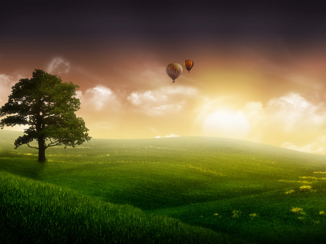 Green field tree hot air #3 free wallpaper for desktop - medium preview image