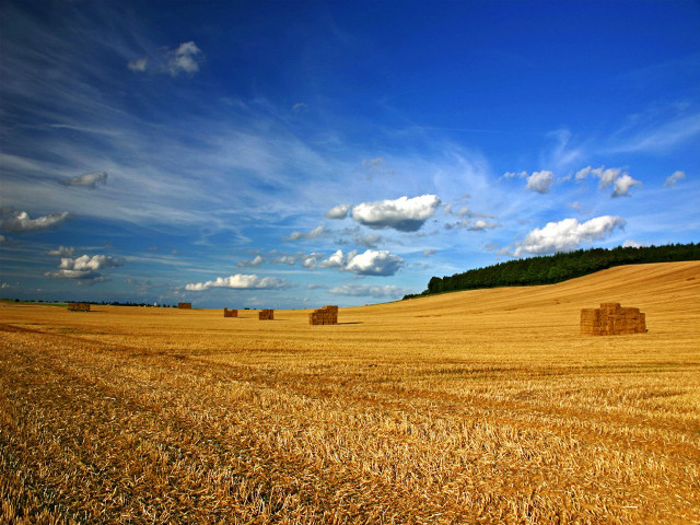 Hay field bales blue sky #2 free wallpaper for desktop - medium preview image