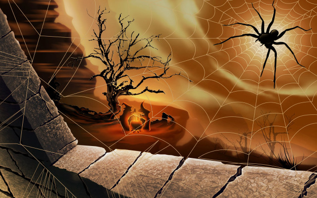 Spider web tree fire sky #2 free wallpaper for desktop - medium preview image