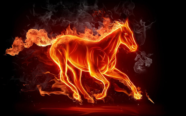 Horse running fire field black free wallpaper for desktop - medium preview image