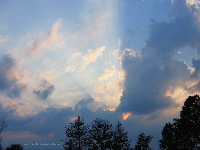 Cloudy sky trees crepuscular rays free wallpaper for desktop - medium preview image