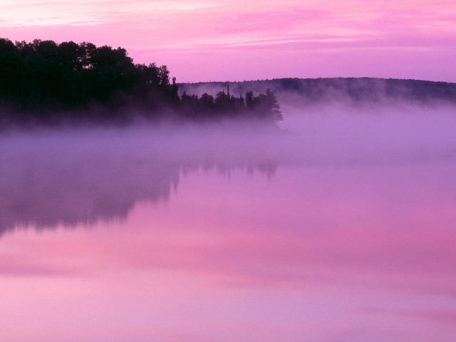 Pink sky trees water fog free wallpaper for desktop - medium preview image