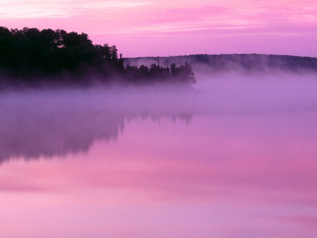 Pink sky trees water fog #4 free wallpaper for desktop - medium preview image