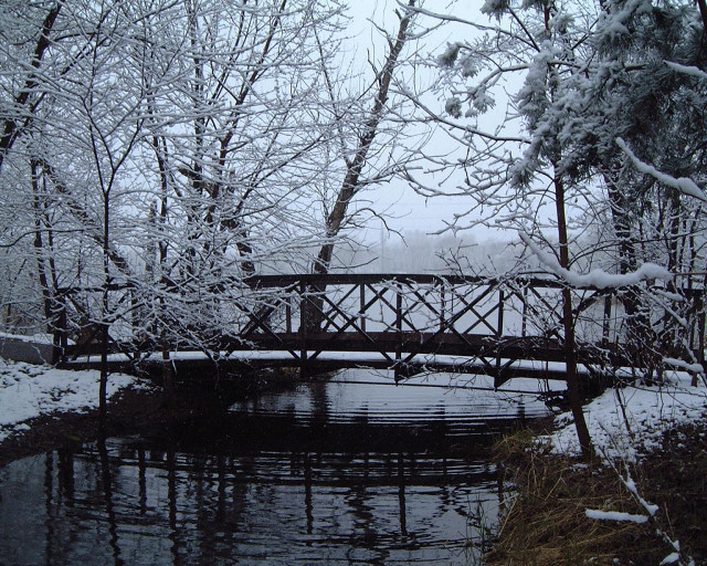 Bridge snowy forest river snow free wallpaper for desktop - medium preview image