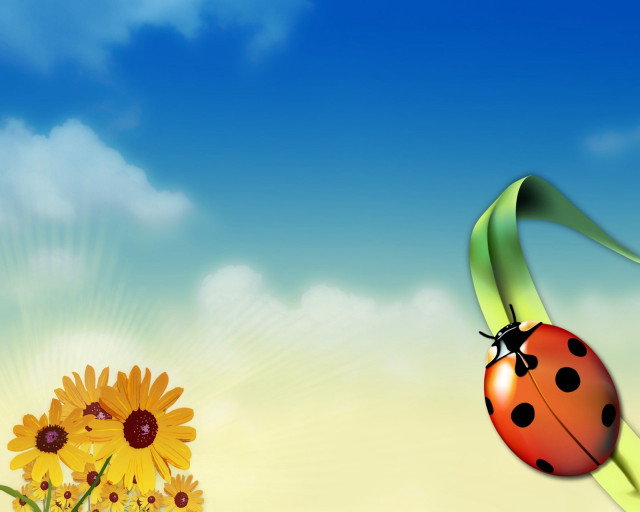 Ladybug flower sunflower blue sky #3 free wallpaper for desktop - medium preview image