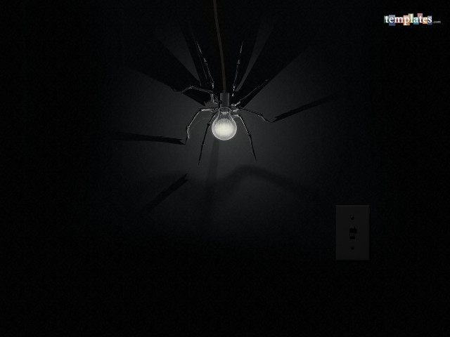 Spider lamp dark lightbulb crawling #2 free wallpaper for desktop - medium preview image