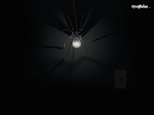 Spider lamp dark lightbulb crawling #4 free wallpaper for desktop - medium preview image