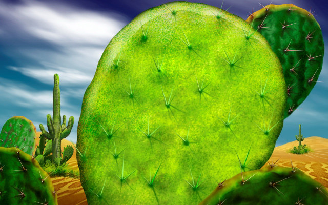Green cactus blue sky clouds #2 free wallpaper for desktop - medium preview image