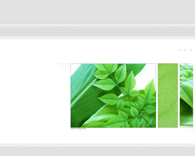 White frame green plant leaf free wallpaper for desktop - medium preview image